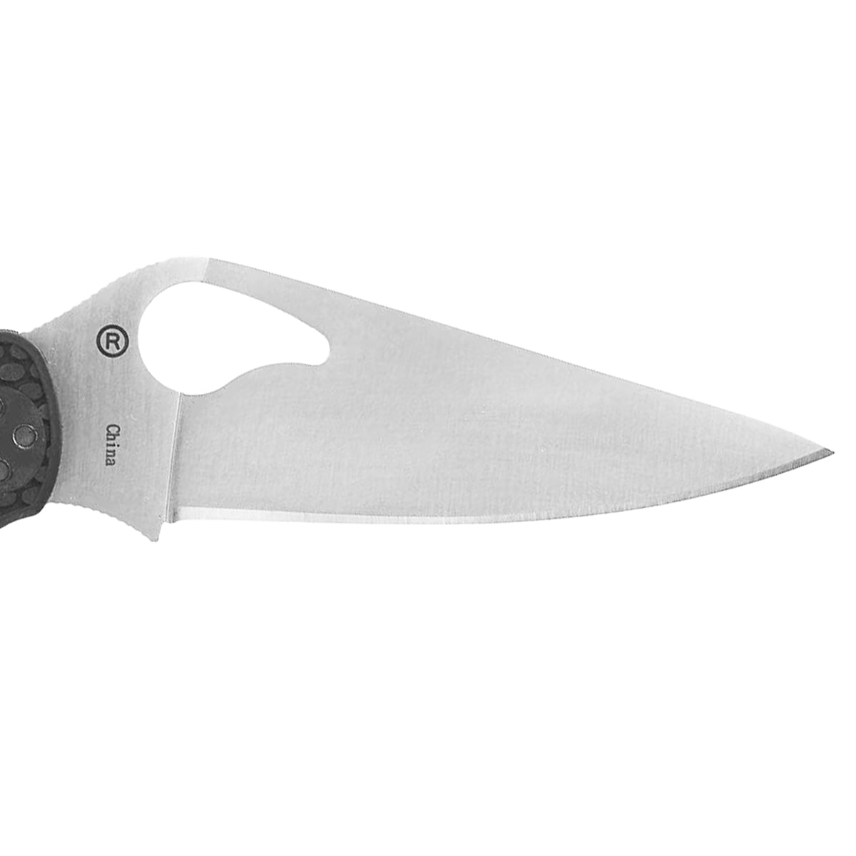Nóż składany Spyderco Byrd Harrier 2 8Cr13MoV - Black