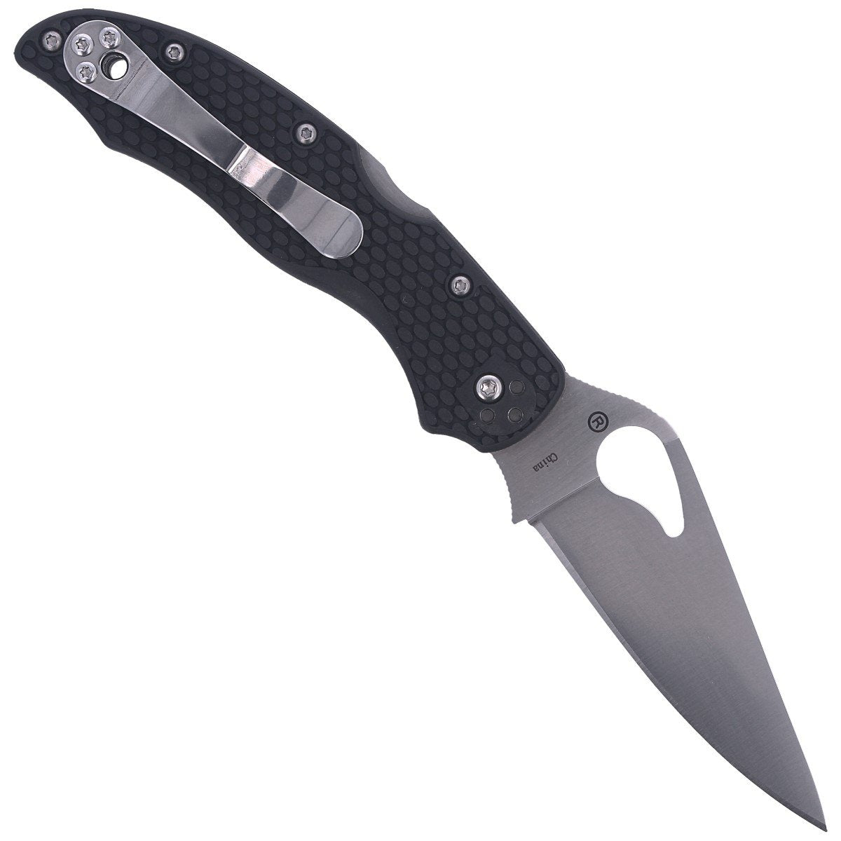 Nóż składany Spyderco Byrd Harrier 2 8Cr13MoV - Black