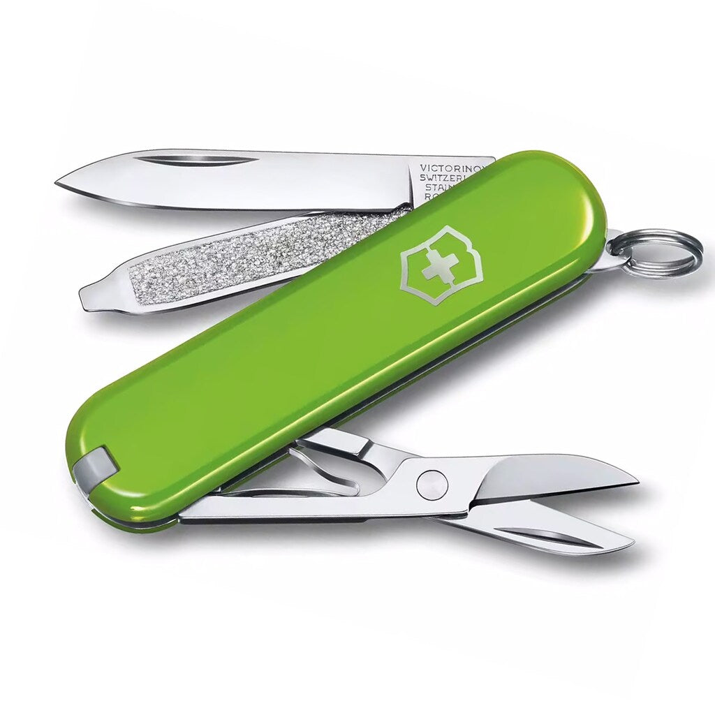 Scyzoryk Victorinox Classic SD - Smashed Avocado