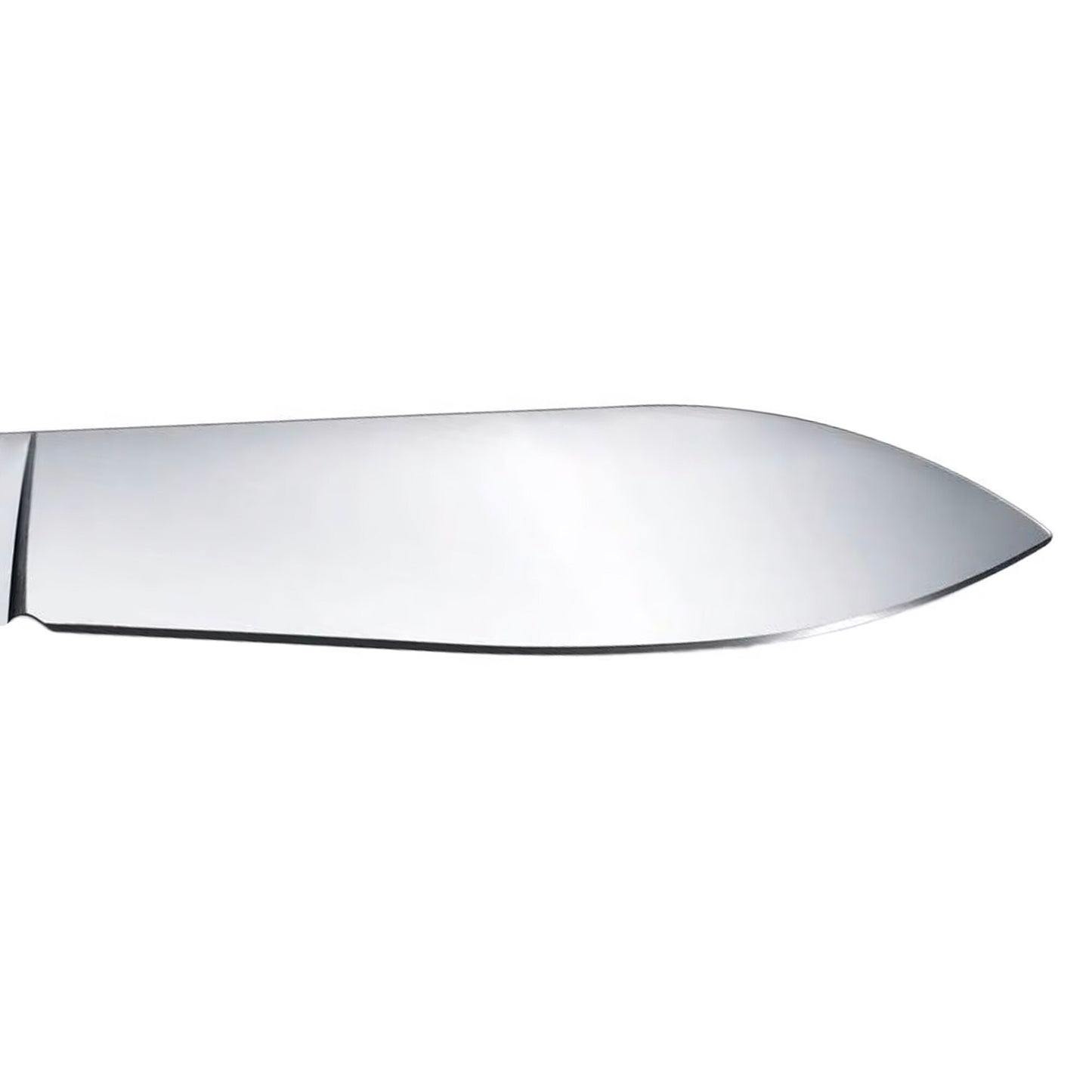 Scyzoryk Victorinox Evowood 10