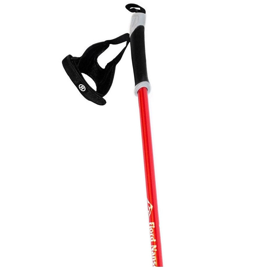 Kije Nordic Walking Fjord Nansen Nordic Pro II