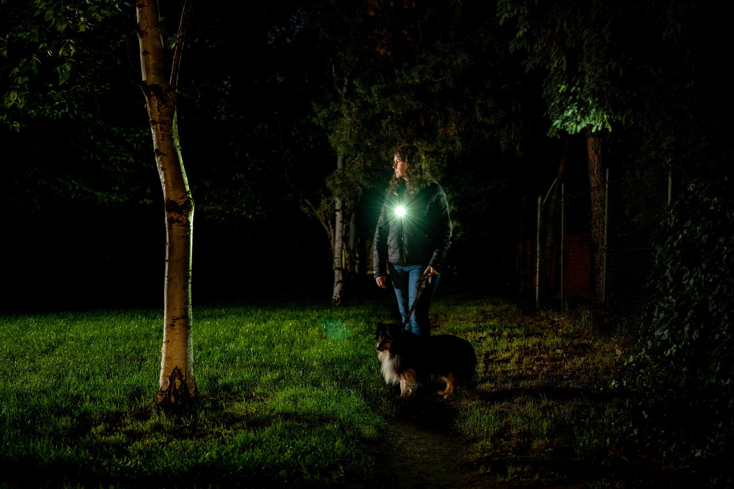 Latarka akumulatorowa Olight Oclip Pro Fortune Snake Special Edition - 500 lumenów