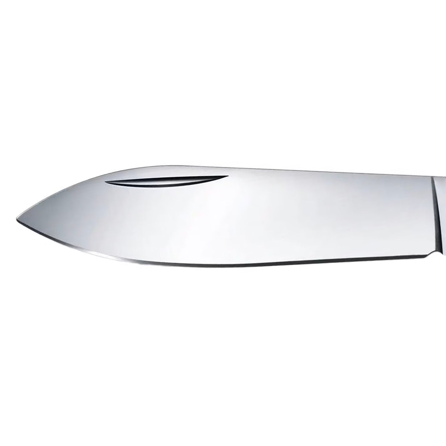 Scyzoryk Victorinox Evowood 10