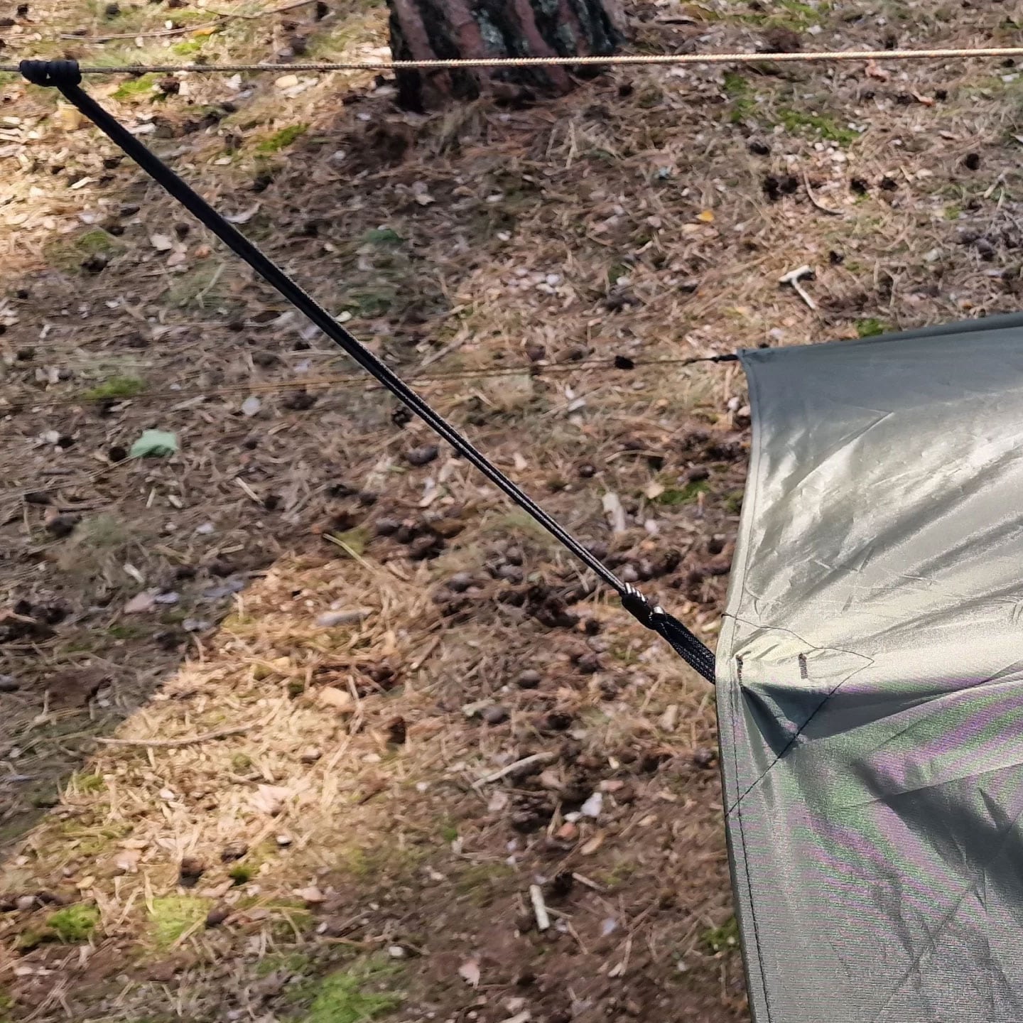 Płachta biwakowa Bushmen Easy Tarp 3 x 3 m - Green