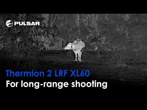 Luneta termowizyjna Pulsar Thermion 2 LRF 4-32x60 XG60