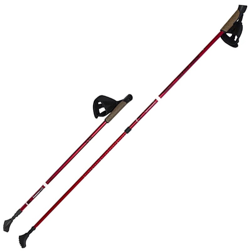 Kije trekkingowe Nils Extreme Nordic Walking NW802
