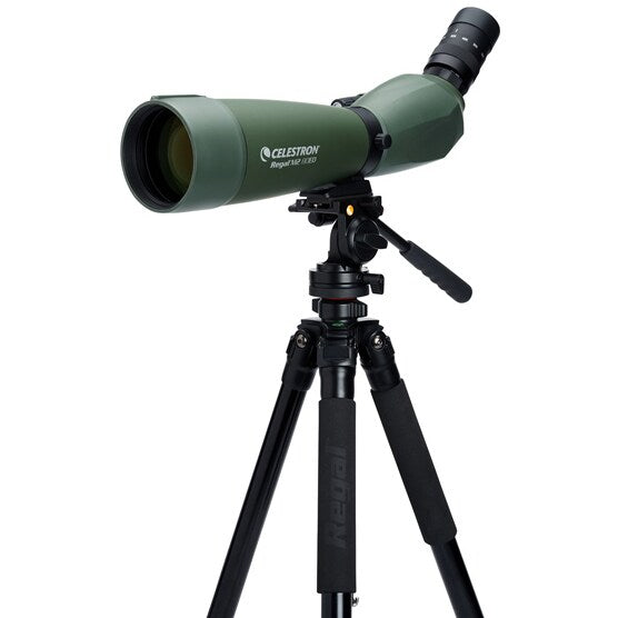 Luneta obserwacyjna Celestron Regal M2 80ED 20-60x80