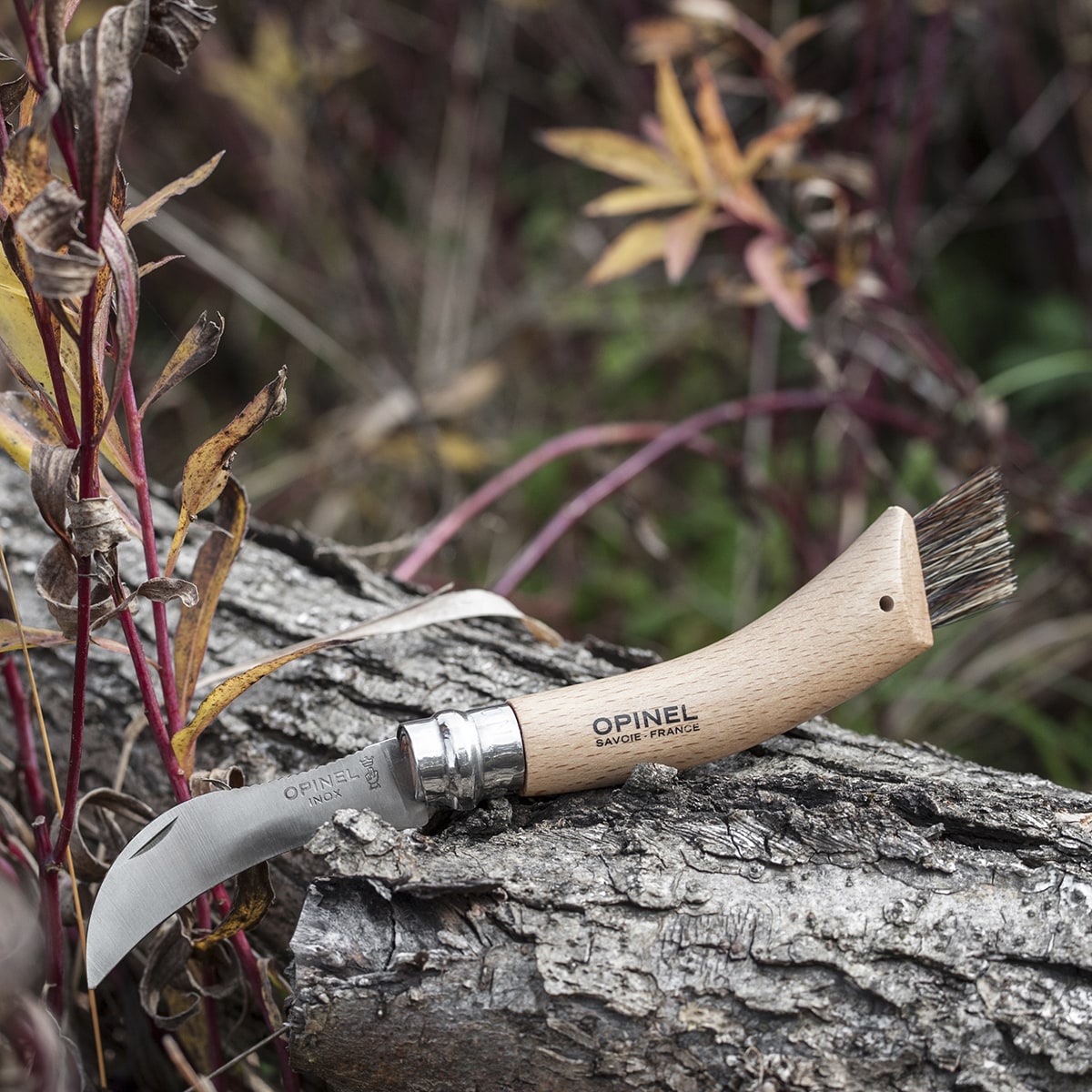 Nóż składany Opinel No.8 Mushroom do zbierania grzybów