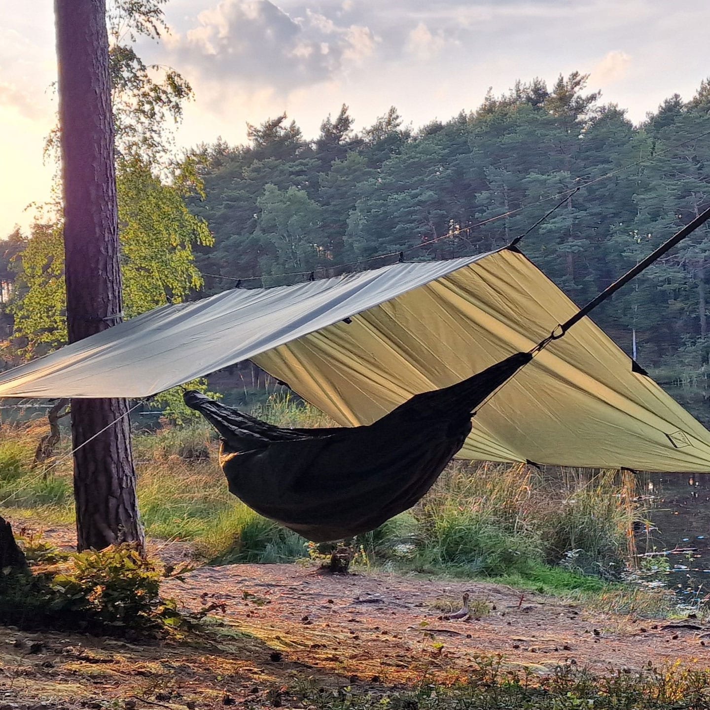 Płachta biwakowa Bushmen Easy Tarp 3 x 3 m - Green
